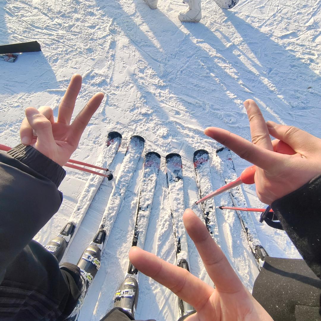 捧束玫瑰看星空