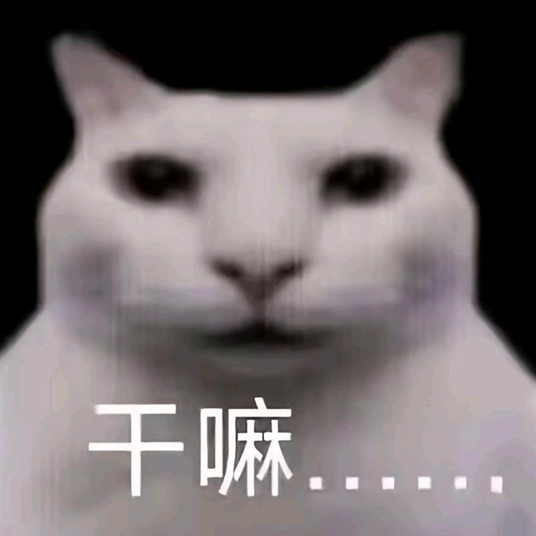 快乐的生煎包