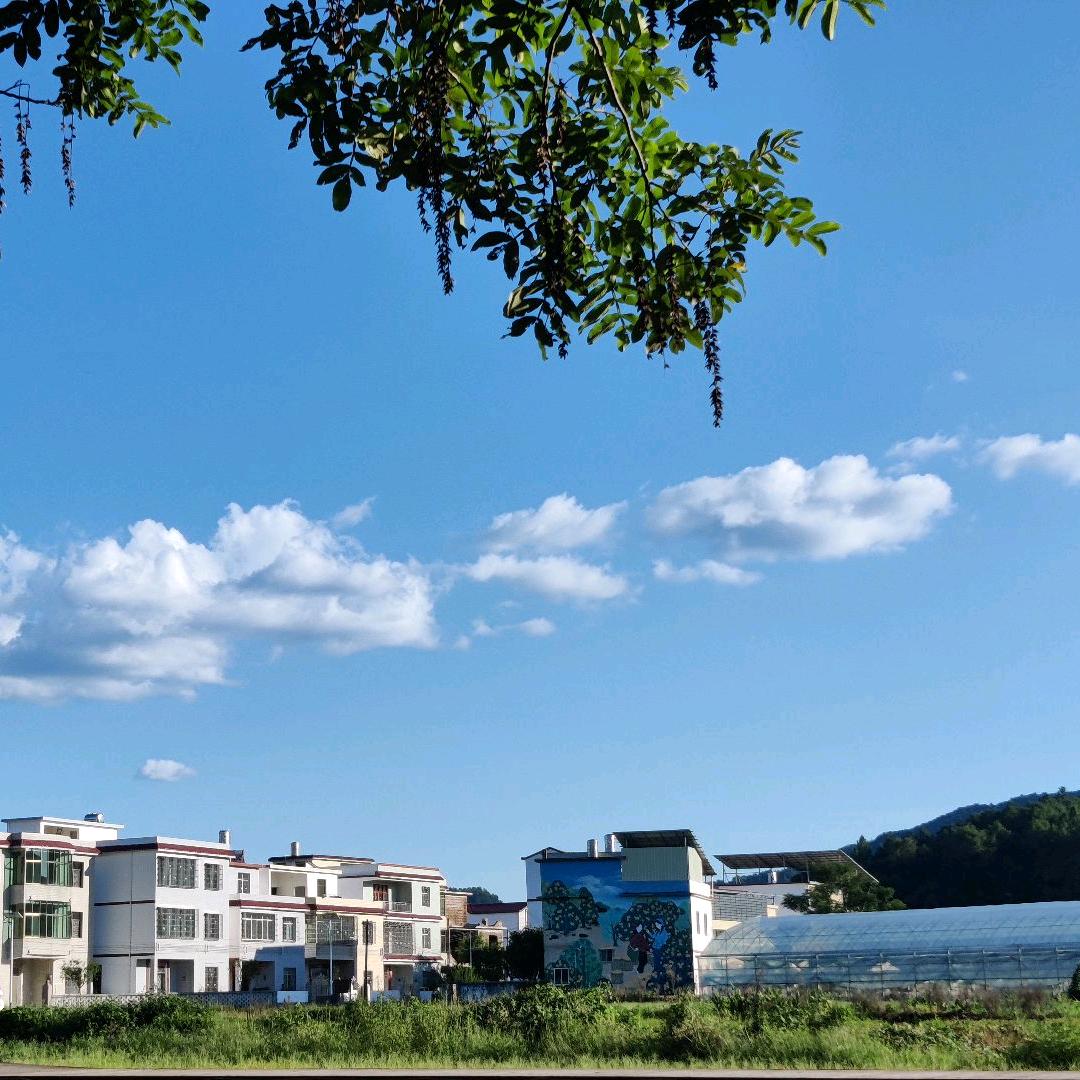 风起又欲止