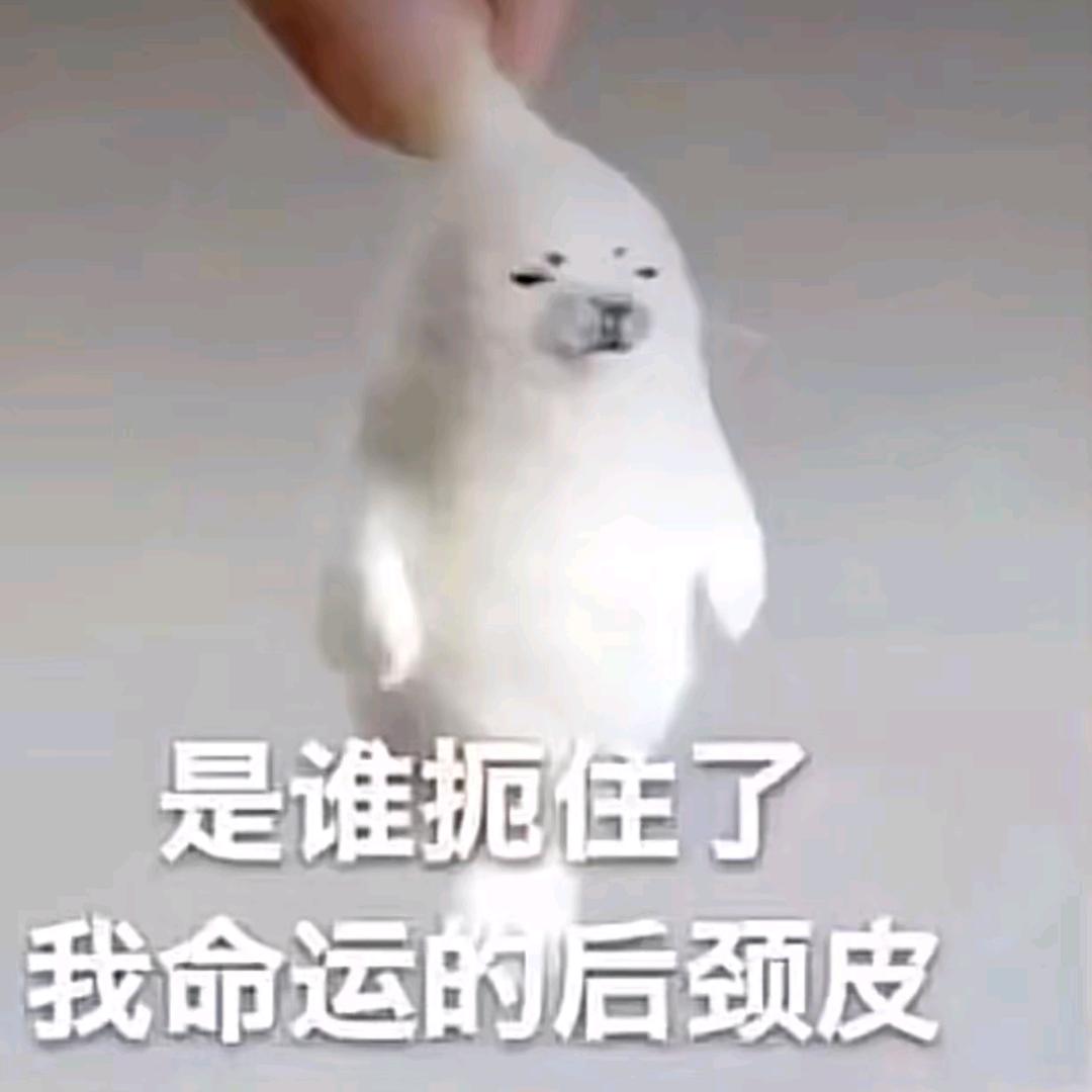 磷风