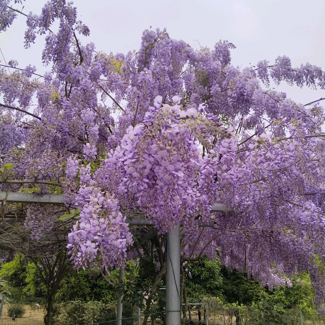 一抹阳光