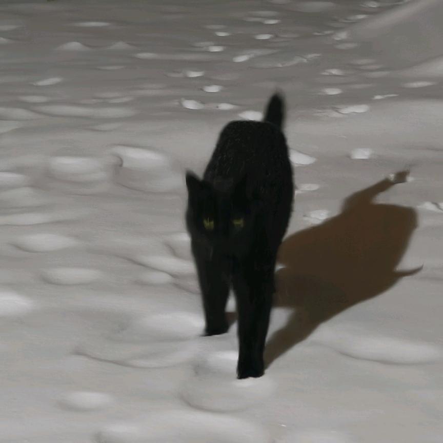 ￴ ￴ ￴￴￴￴ ￴￴ ￴￴