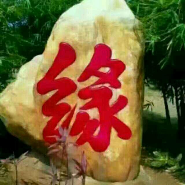 阿泉珍惜身边的人