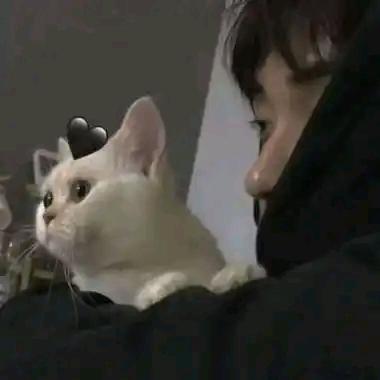 猫舌雪糕