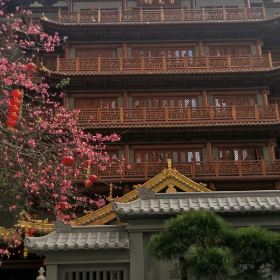 一生有你