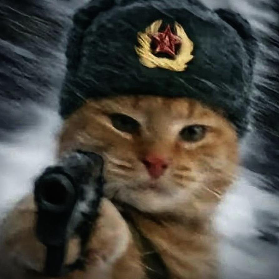 戎