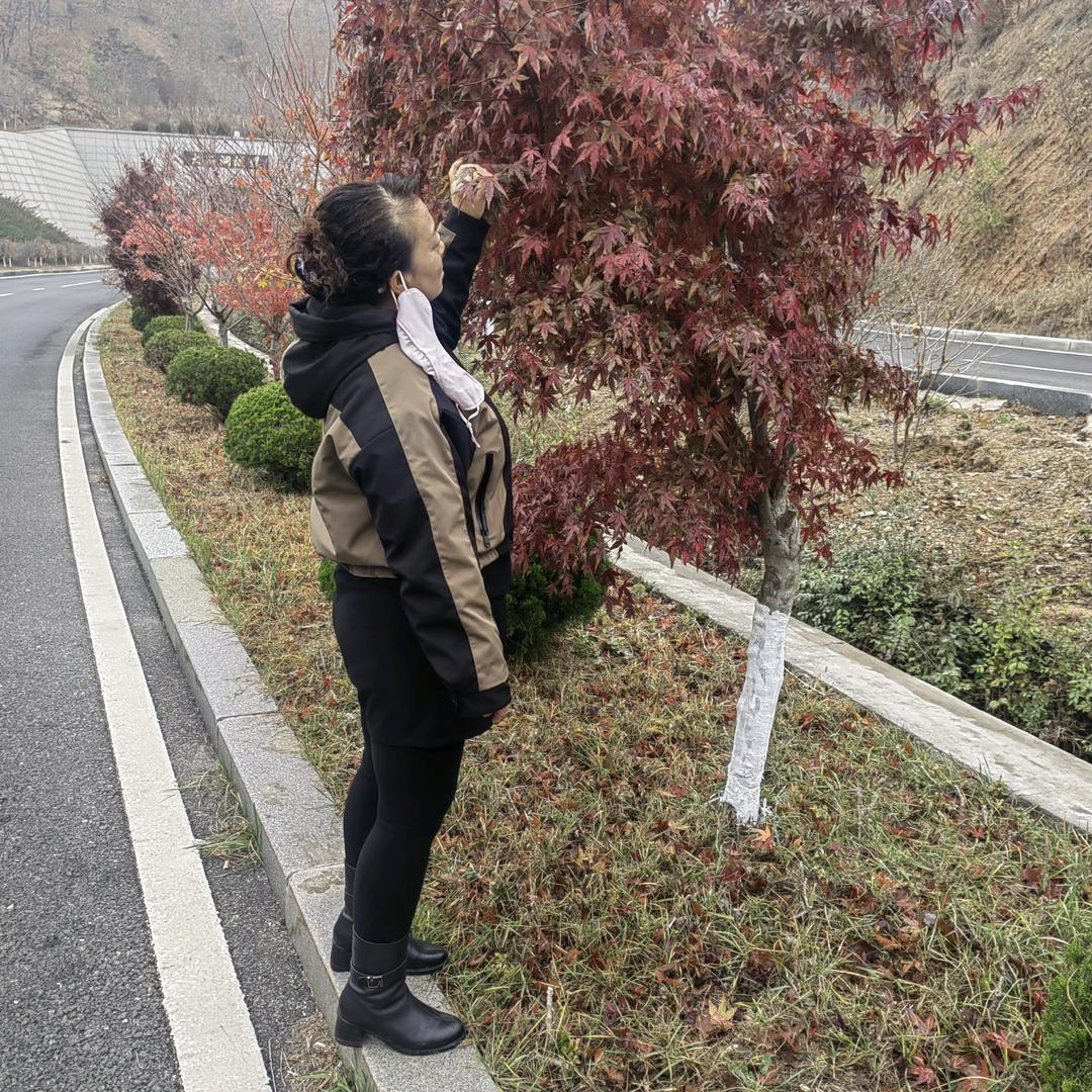 我的心情你不懂