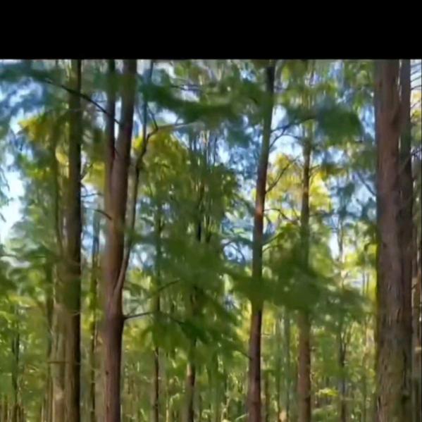 农村姐:好物分享