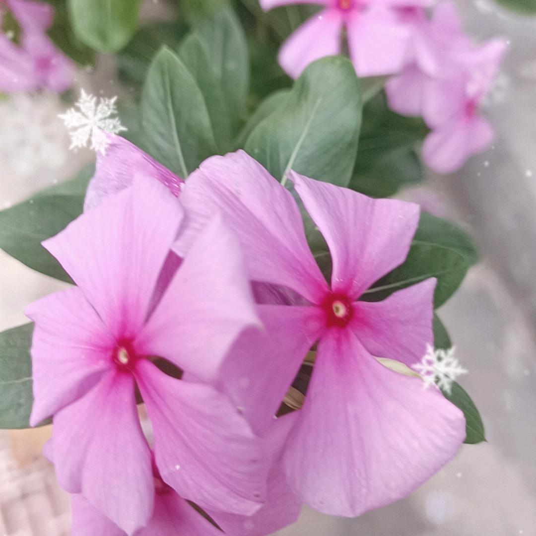 好玩好玩，真好玩