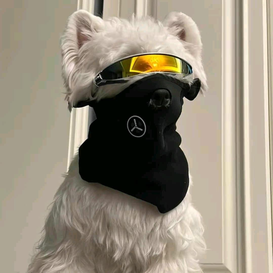 枯木逢春夏秋冬