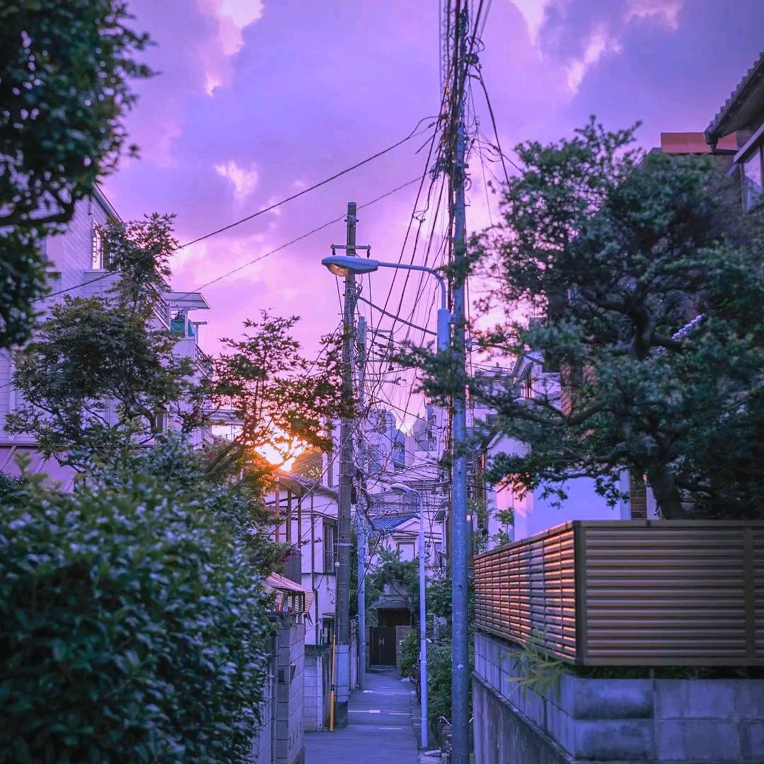㦟䨊鼝
