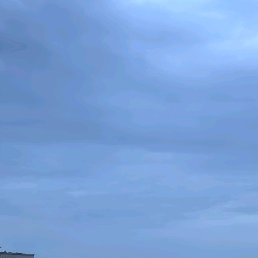林深时见鹿