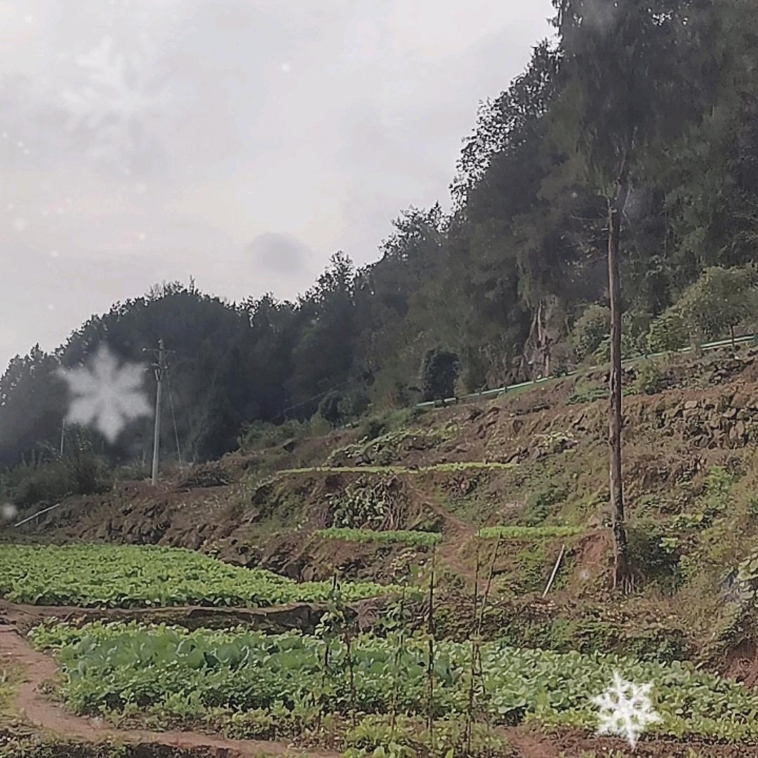 平淡是真，简单是福！