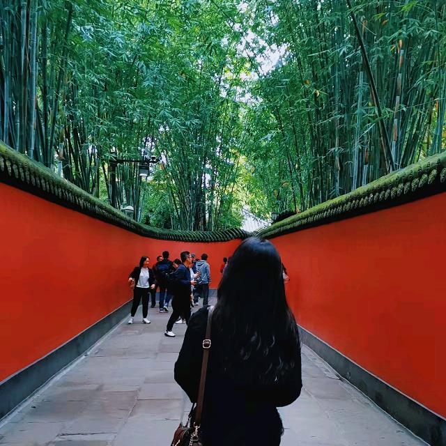 晴空小飞象
