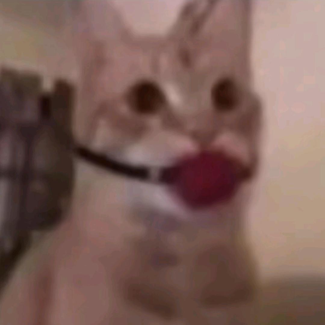如何。