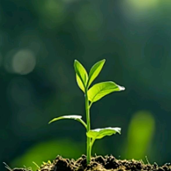 刀郎FM音乐会进越