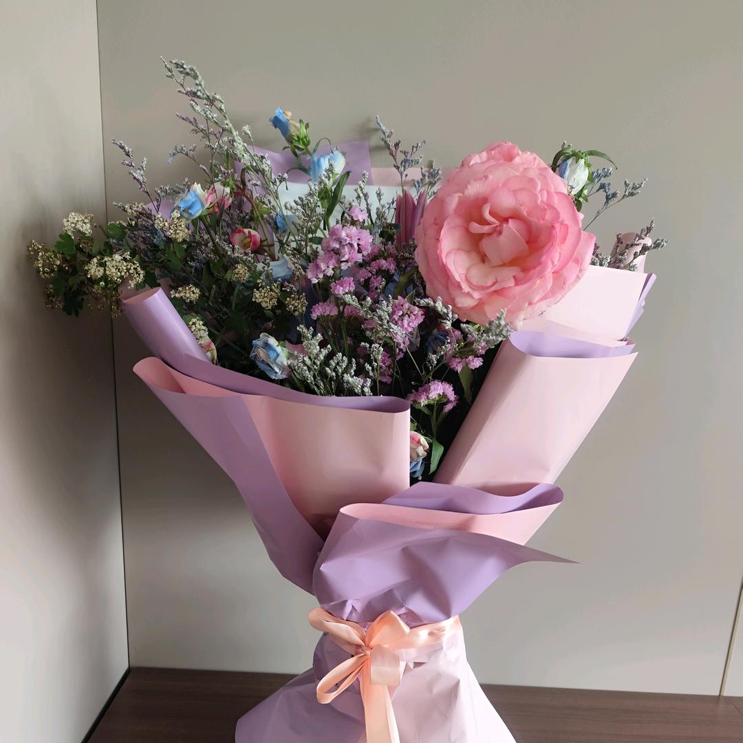 胖胖的面包蟹（已减3.2斤）