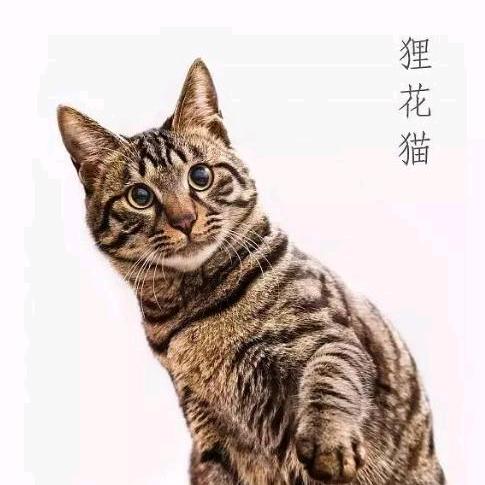 平安✨
