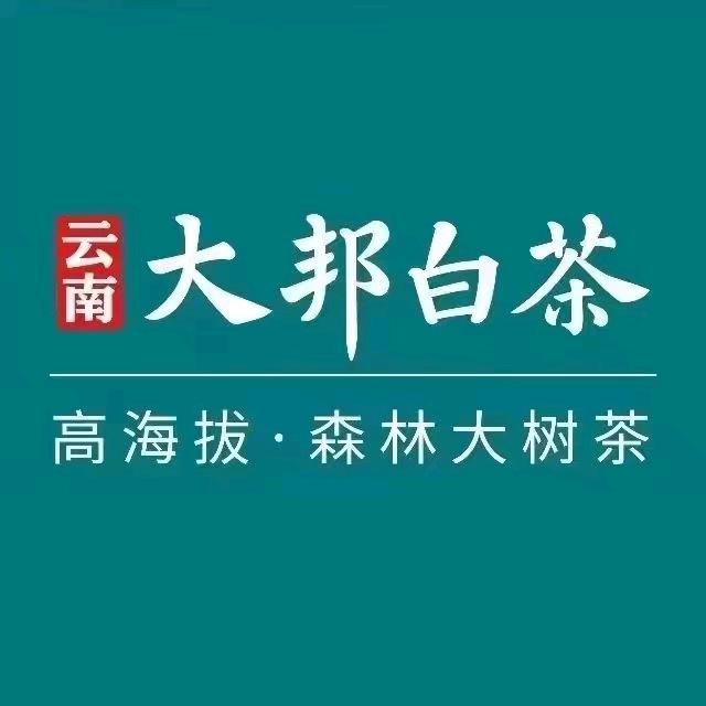 云南大邦白茶