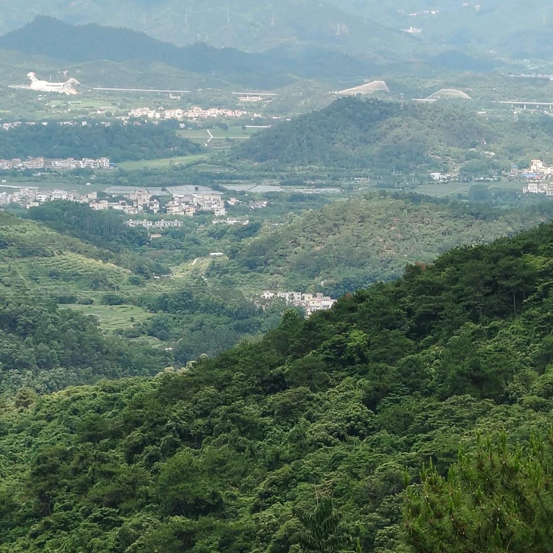 人生