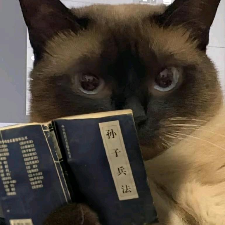 洛洛（简历那些事）