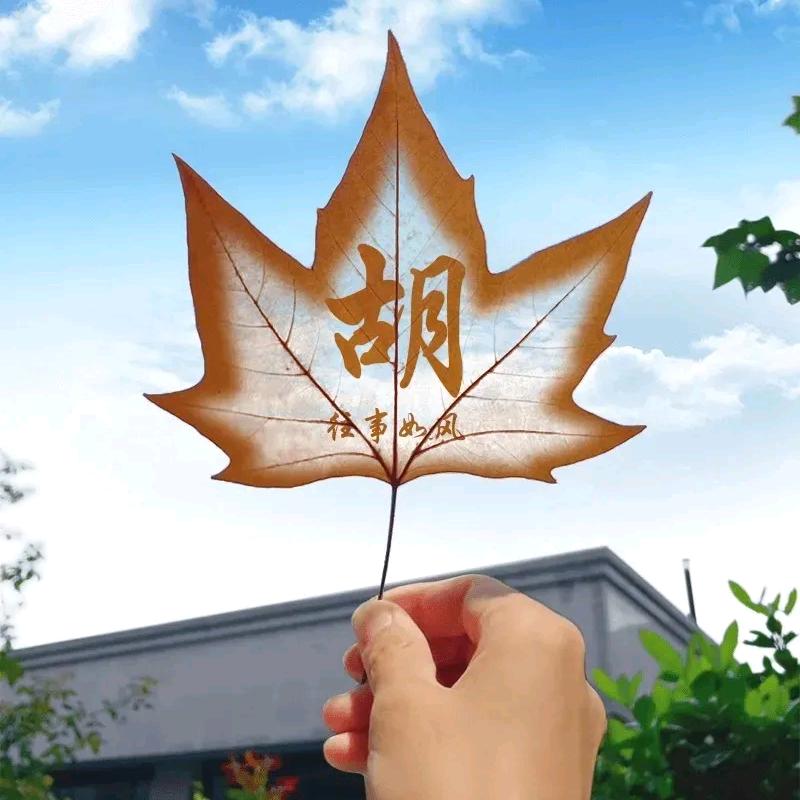 知足常乐🌺