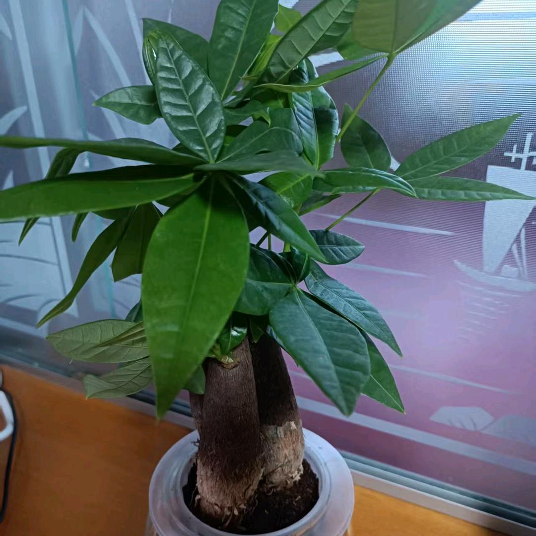 我姓刘，留住所有的美好