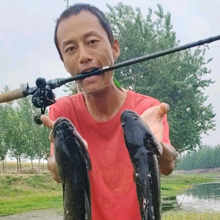 刘罗锅