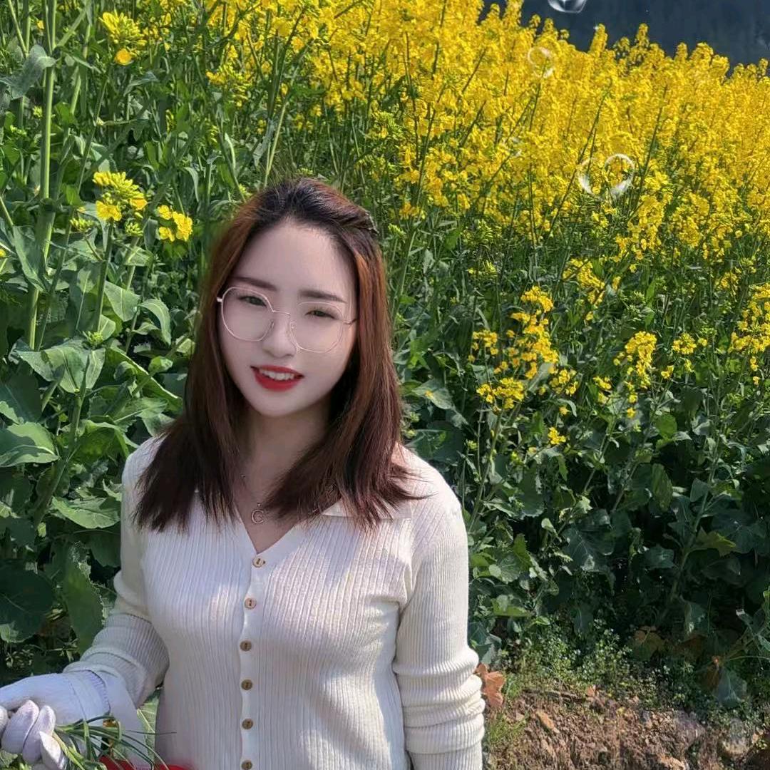 琴