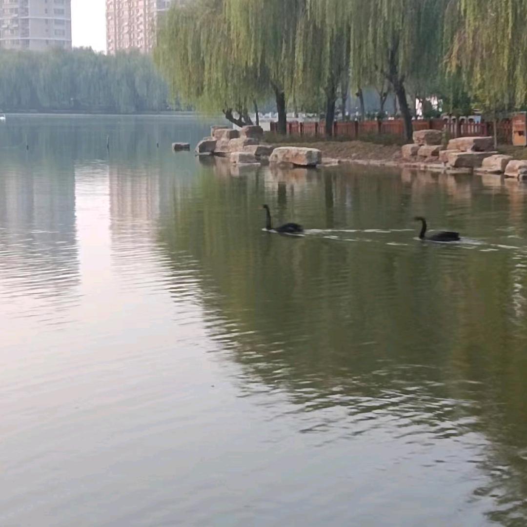 开开心心过好每一天