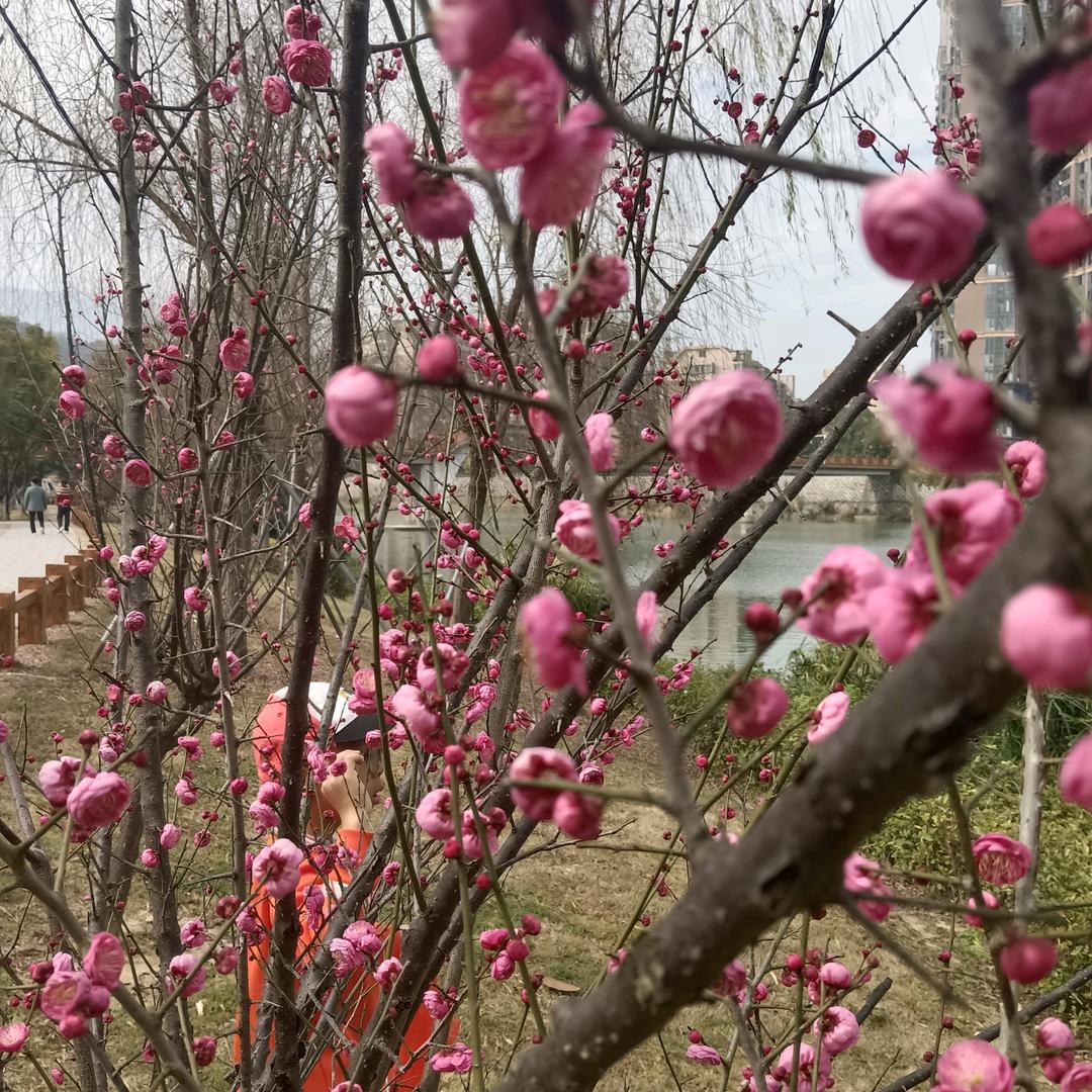 春暖花开
