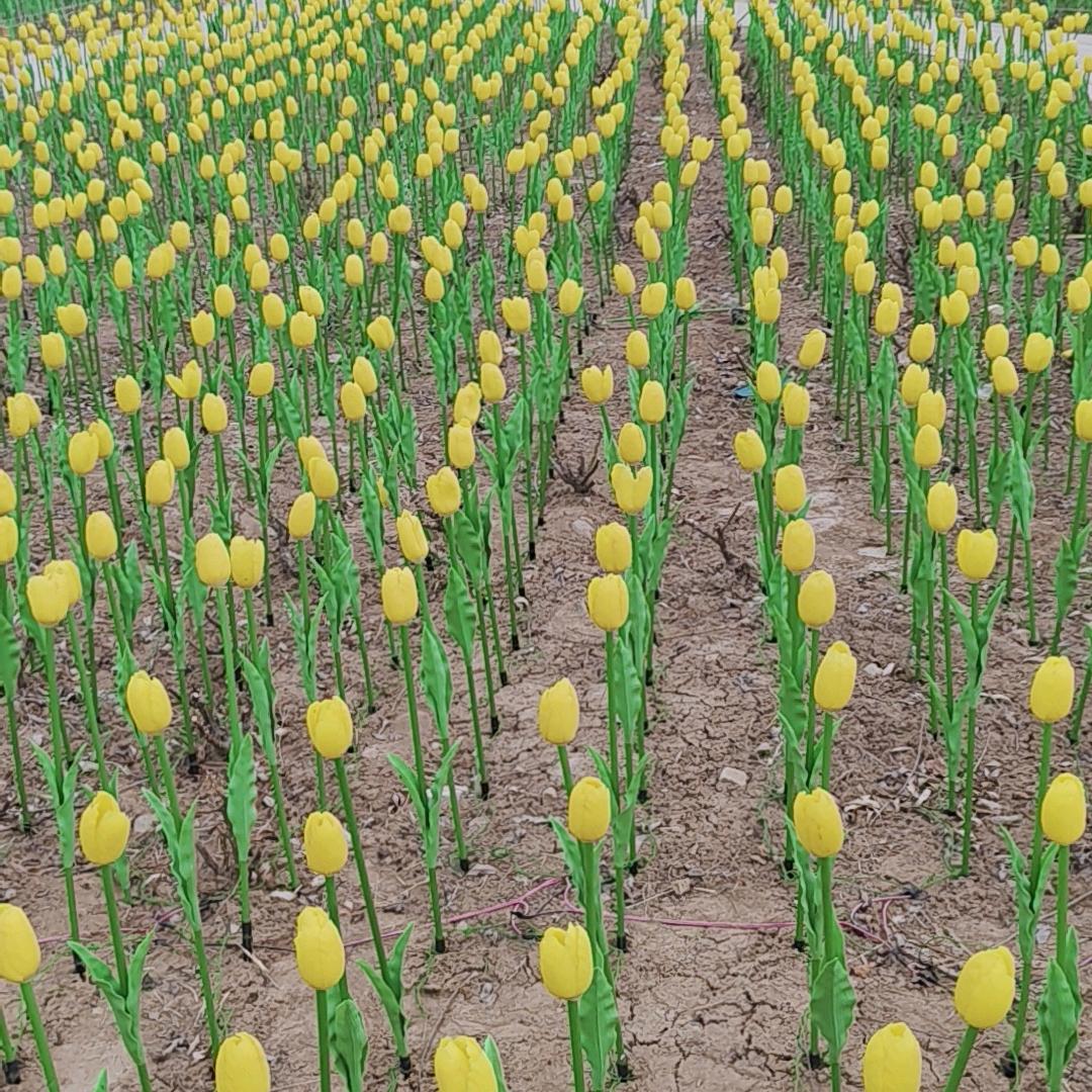 享福一家人。😋🌸🌸🌸