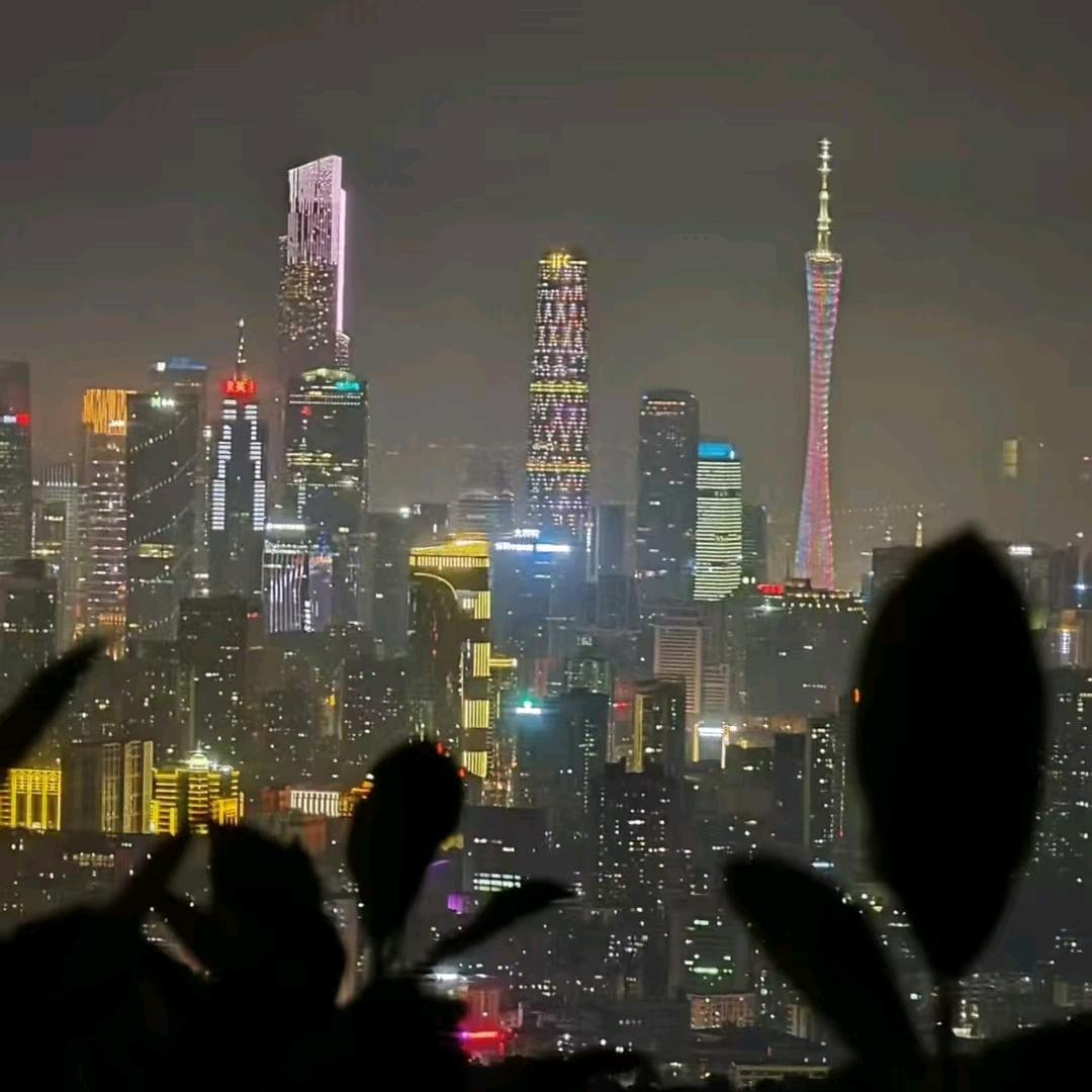 @Lonely志