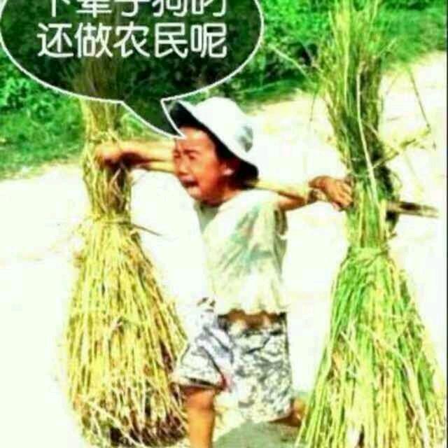 山中樵夫