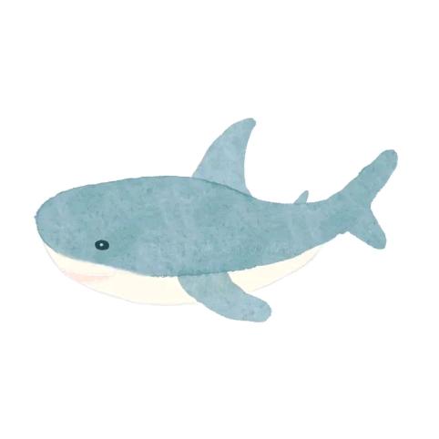 就✌️烤红薯🍠（🐦）