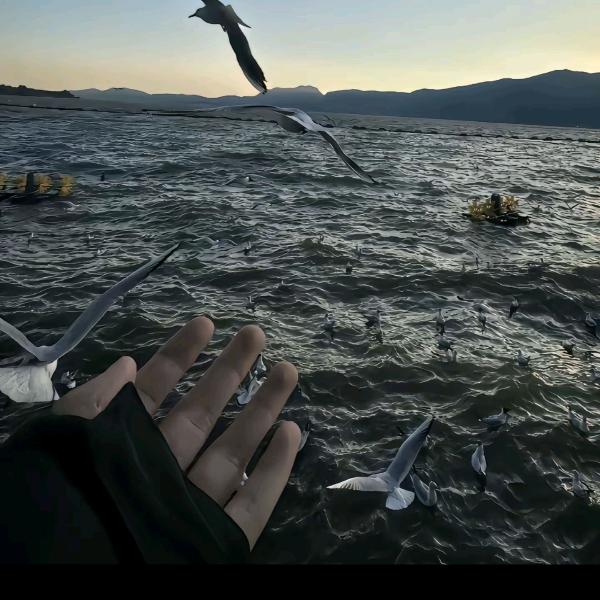 雾里都是浪漫