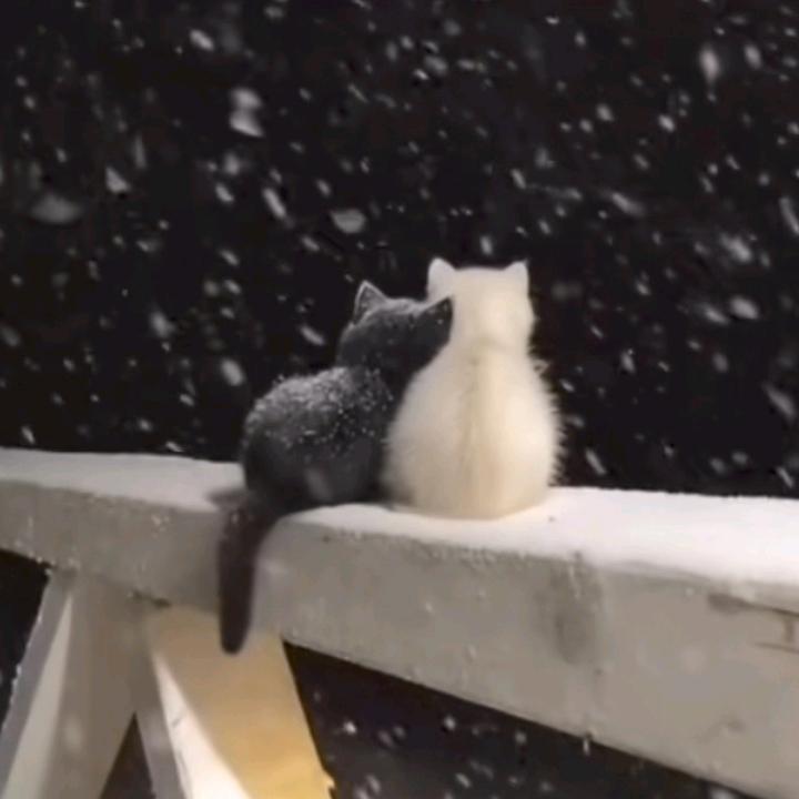 遇见