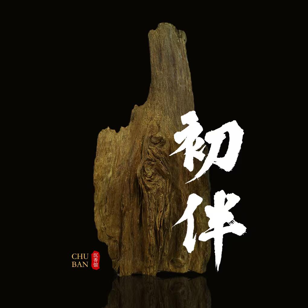 初伴沉香·小羽