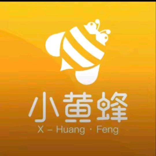 柞水县小黄蜂专业保洁擦玻璃