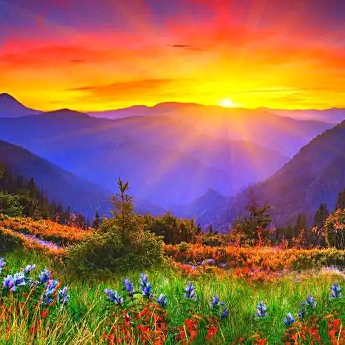 河北刘三姐生活号