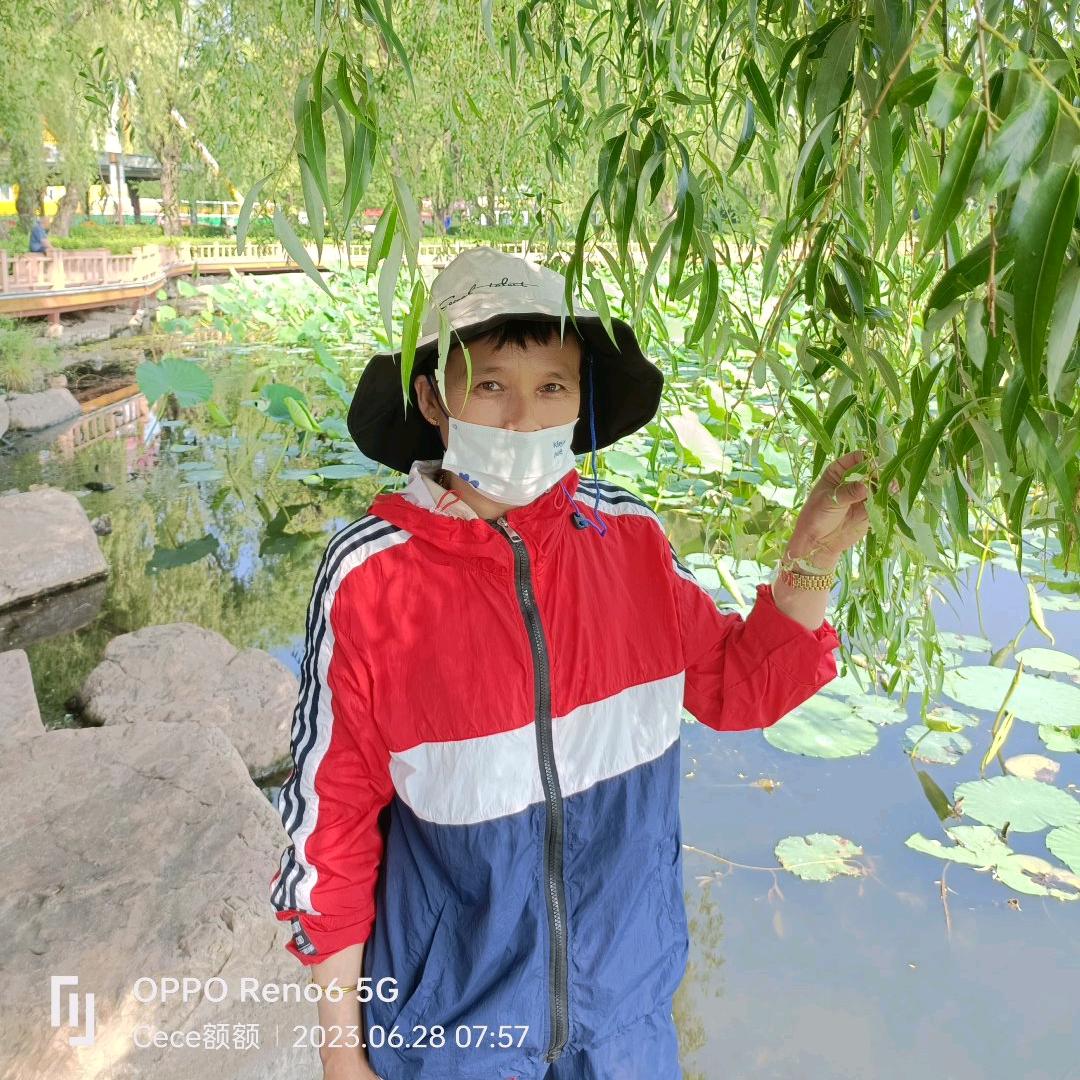 阿宝在努力