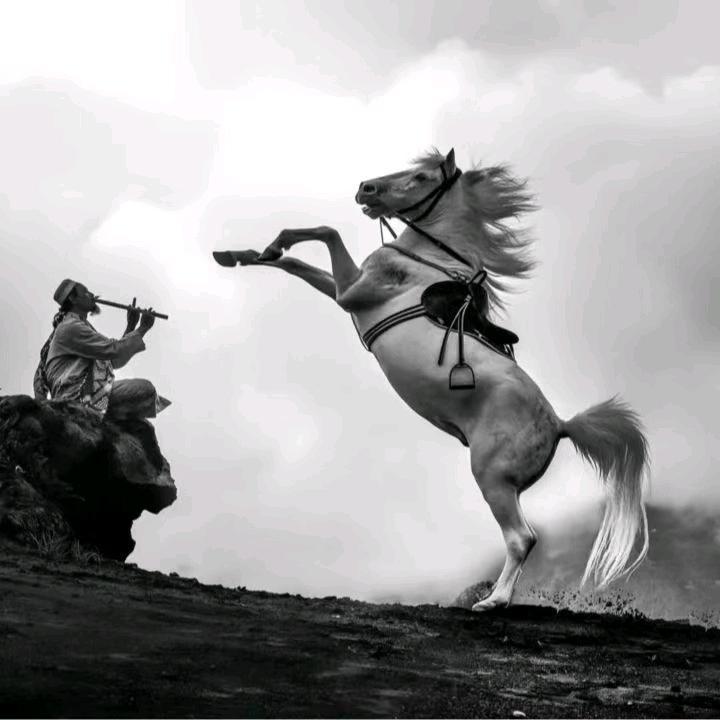 成敏衣舍