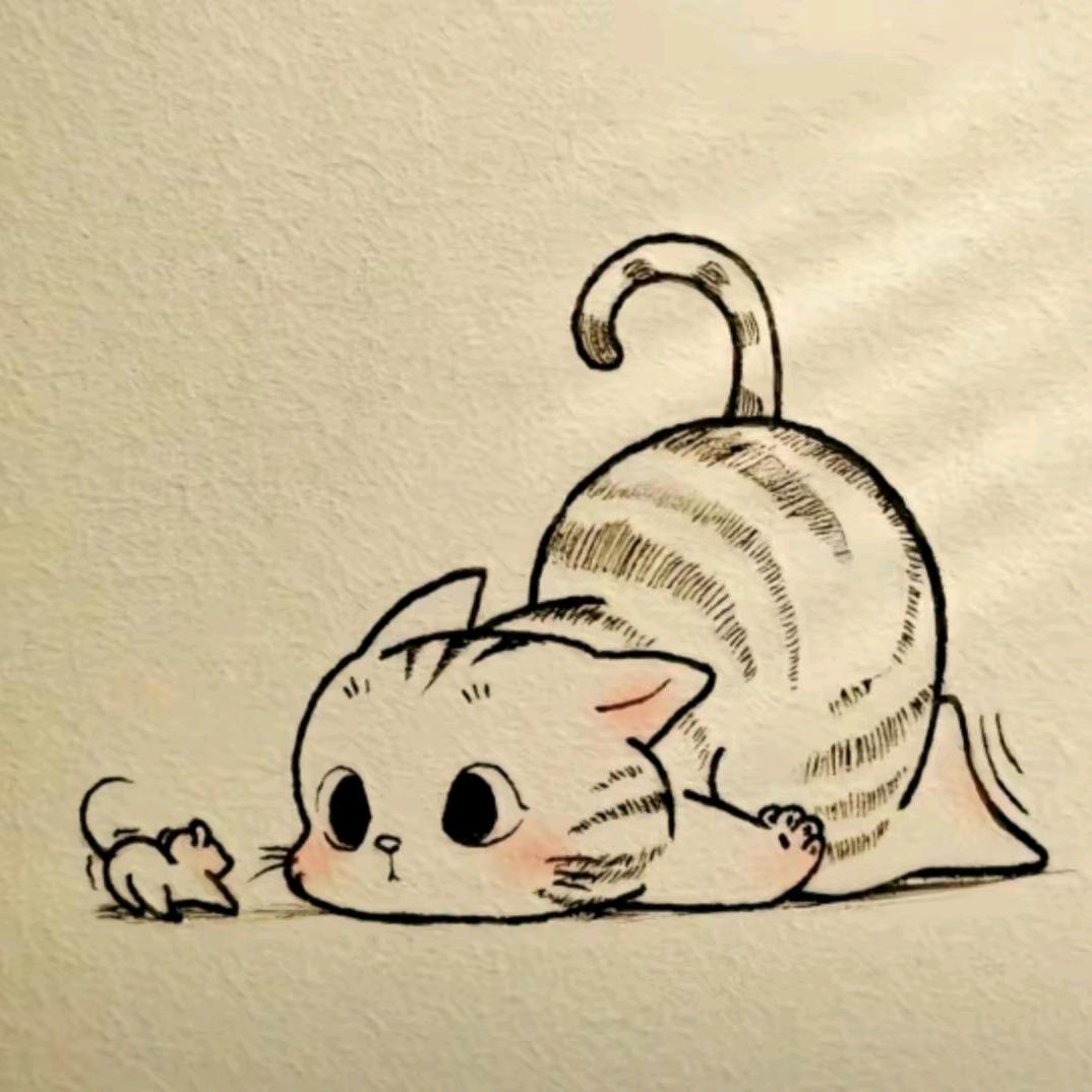 愚猫戏法