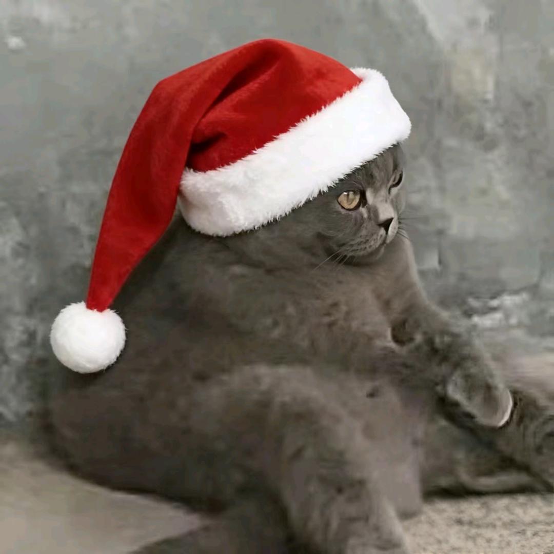 yyyyyyyyy