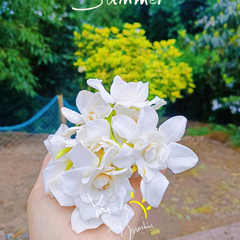 A补氏创发装饰🌻影影