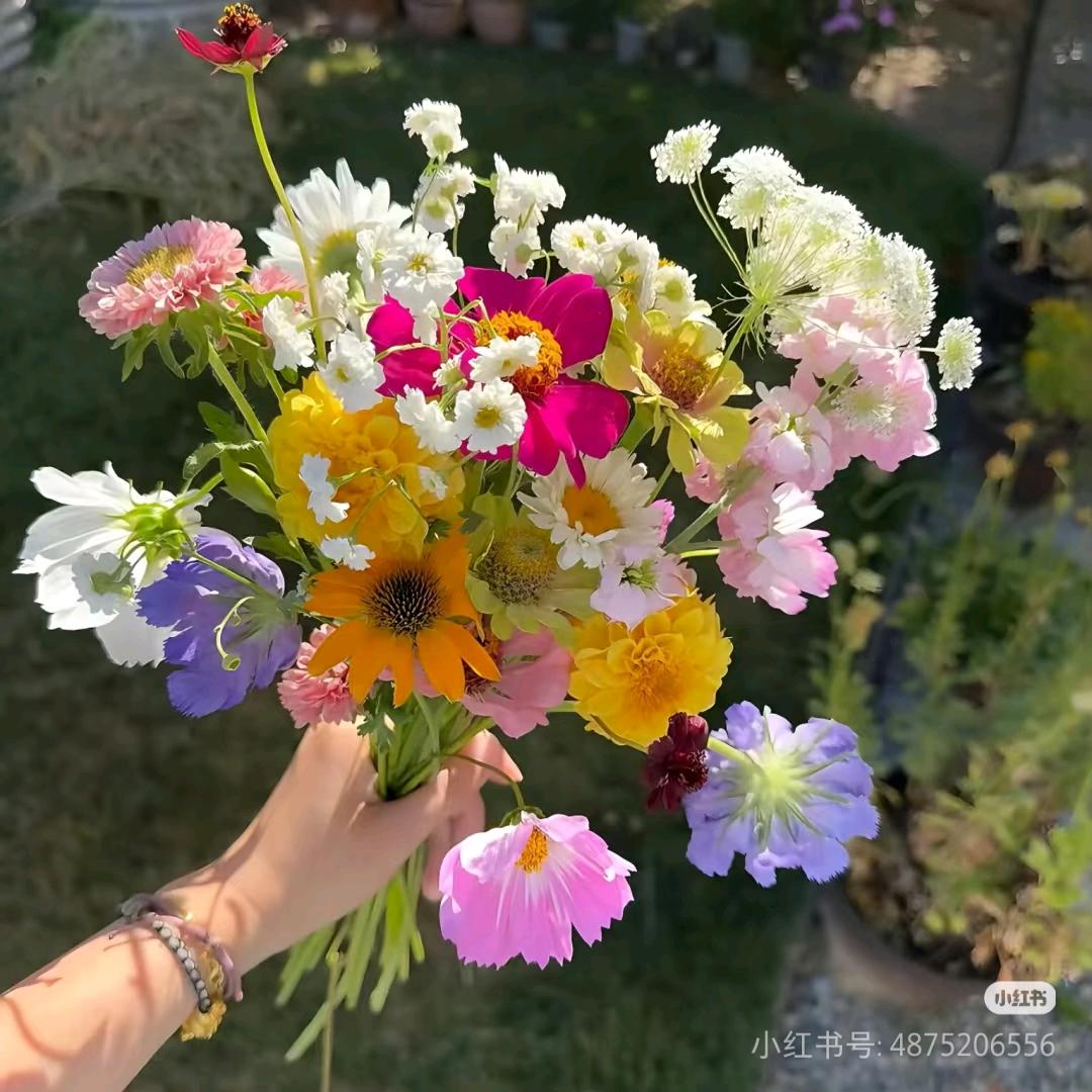 一世情💐((🌺⥎🌺))🌹💐((