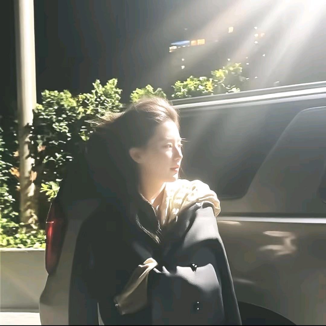 李嘉嘉