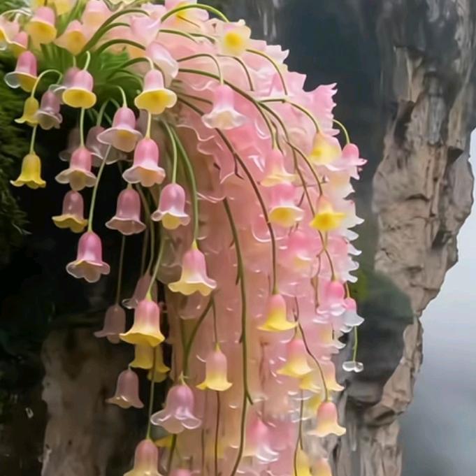 好想有个家，好累