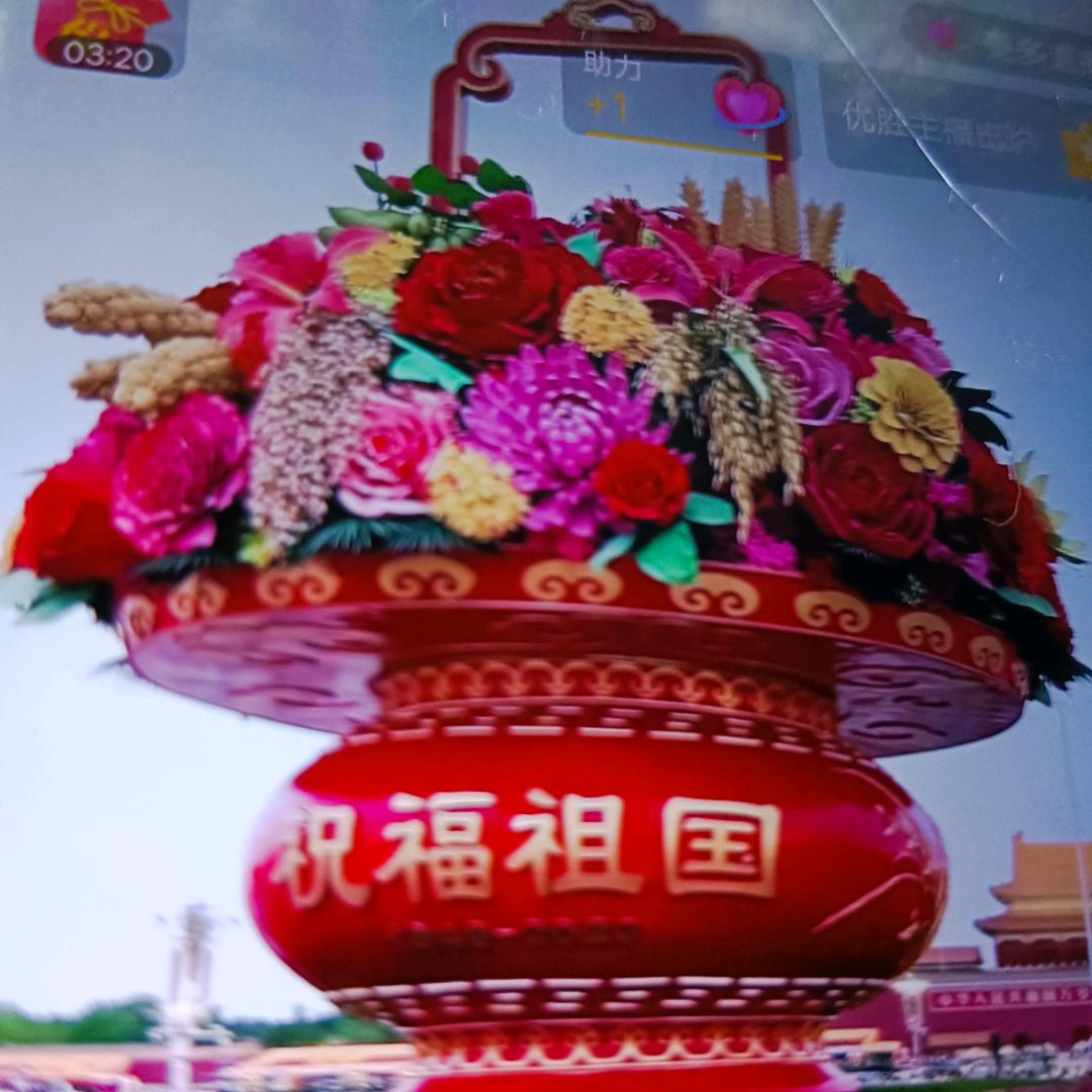 美丽的生活