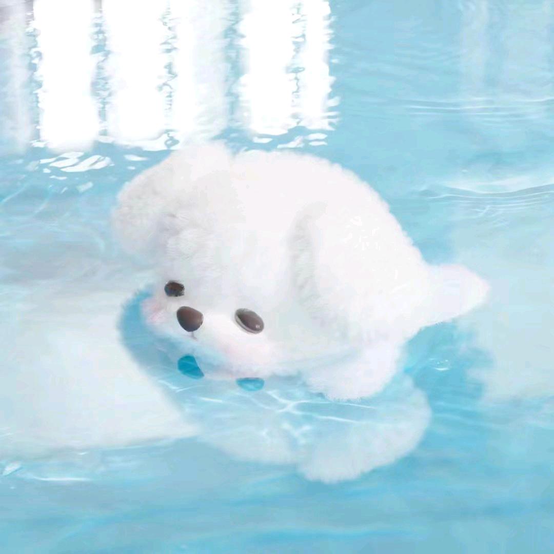 森森淼淼